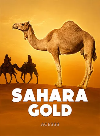 Sahara Gold