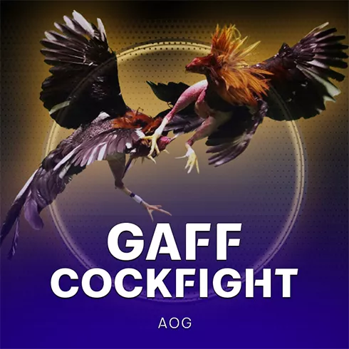 AOG Gaff Cockfight