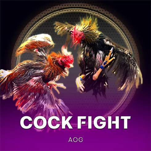 Cock Fight