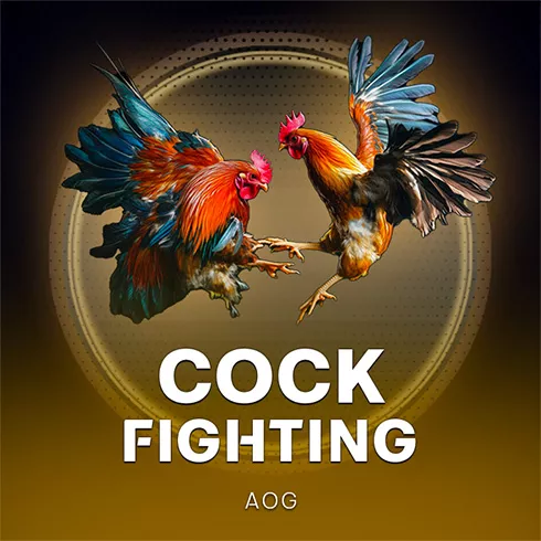 Cock Fighting