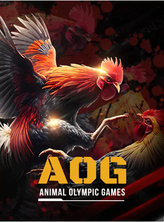 AOG Gaff Cockfight