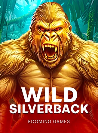 Wild Silverback