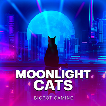 Moonlight Cats