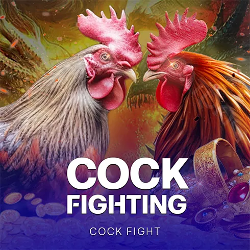 Cock Fighting
