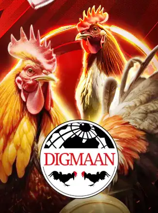 Digmaan Cock Fight