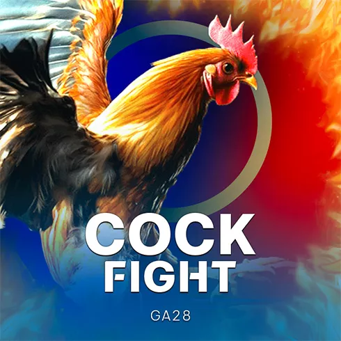 Cock Fight