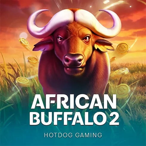 African Buffalo 2