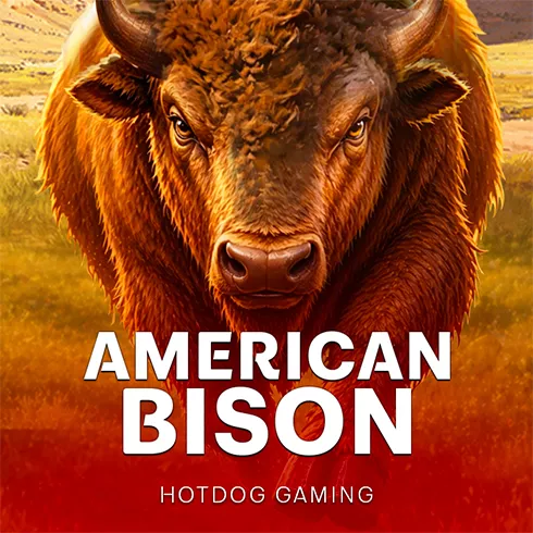 American Bison