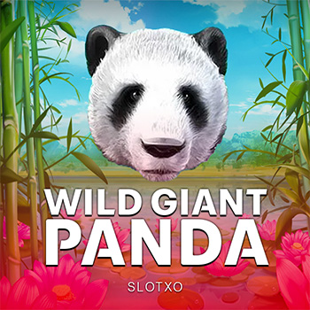 Wild Giant Panda