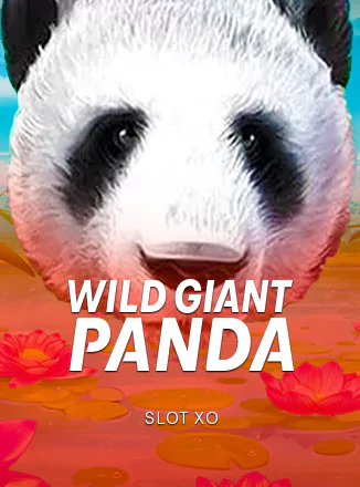 Wild Giant Panda