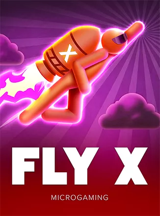 FlyX