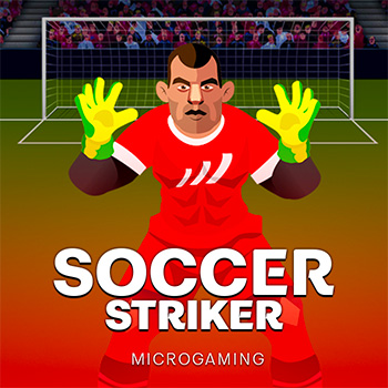 Soccer Striker