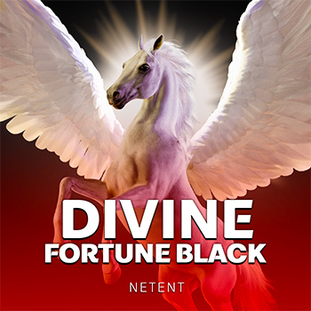 Divine Fortune Black