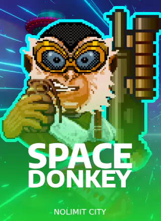 Space Donkey