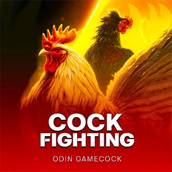 Cock Fighting