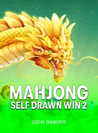 Mahjong Self-Drawn Win 2