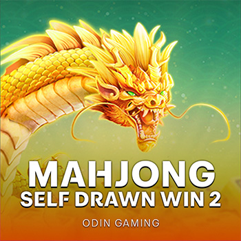 Mahjong Self-Drawn Win 2