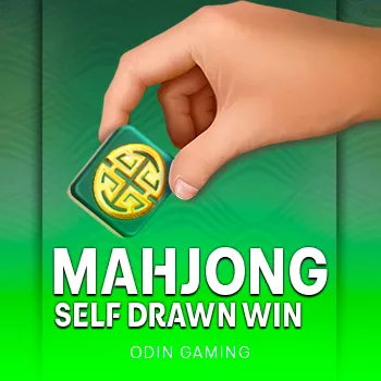 Mahjong Self-Drawn Win