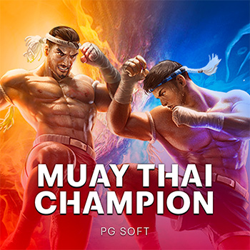 Muay Thai Champion