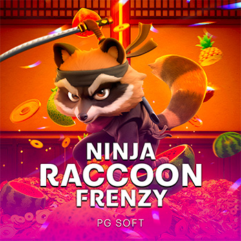 Ninja Raccoon Frenzy