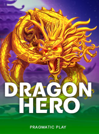 Dragon Hero™