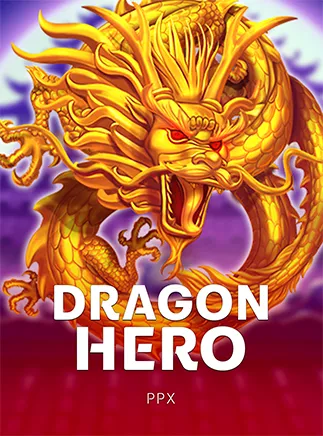Dragon Hero™