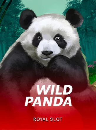 Wild Panda