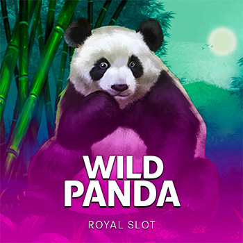 Wild Panda