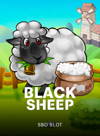 Black Sheep
