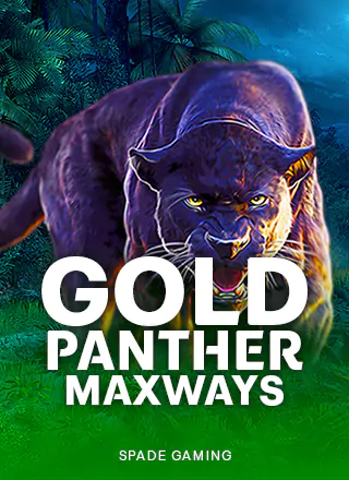 Gold Panther Maxways