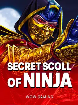 Secret Scroll Of Ninja