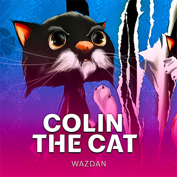 Colin the Cat