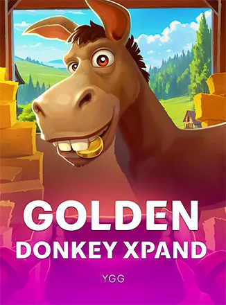 Golden Donkey Xpand