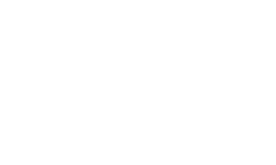ACE333
