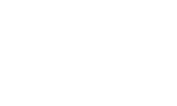HecticPlay